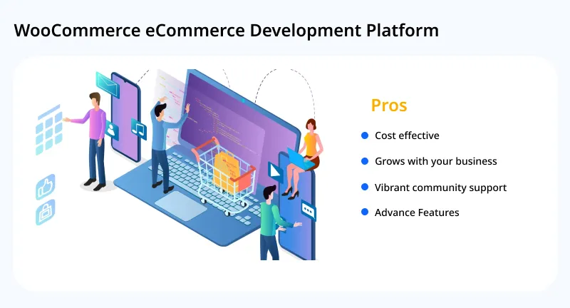 Pros of WooCommerce Pros of WooCommerce