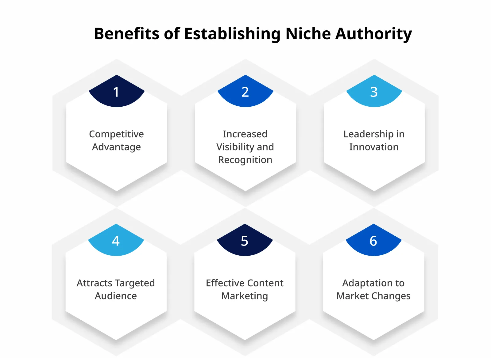 Benefits of Establishing Niche Authority Benefits of Establishing Niche Authority
