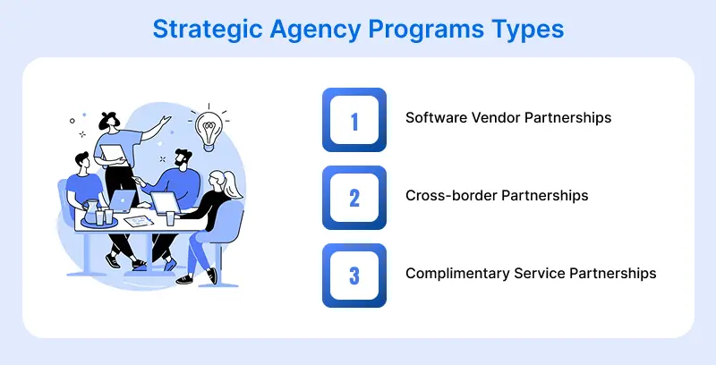 strategic agency program types